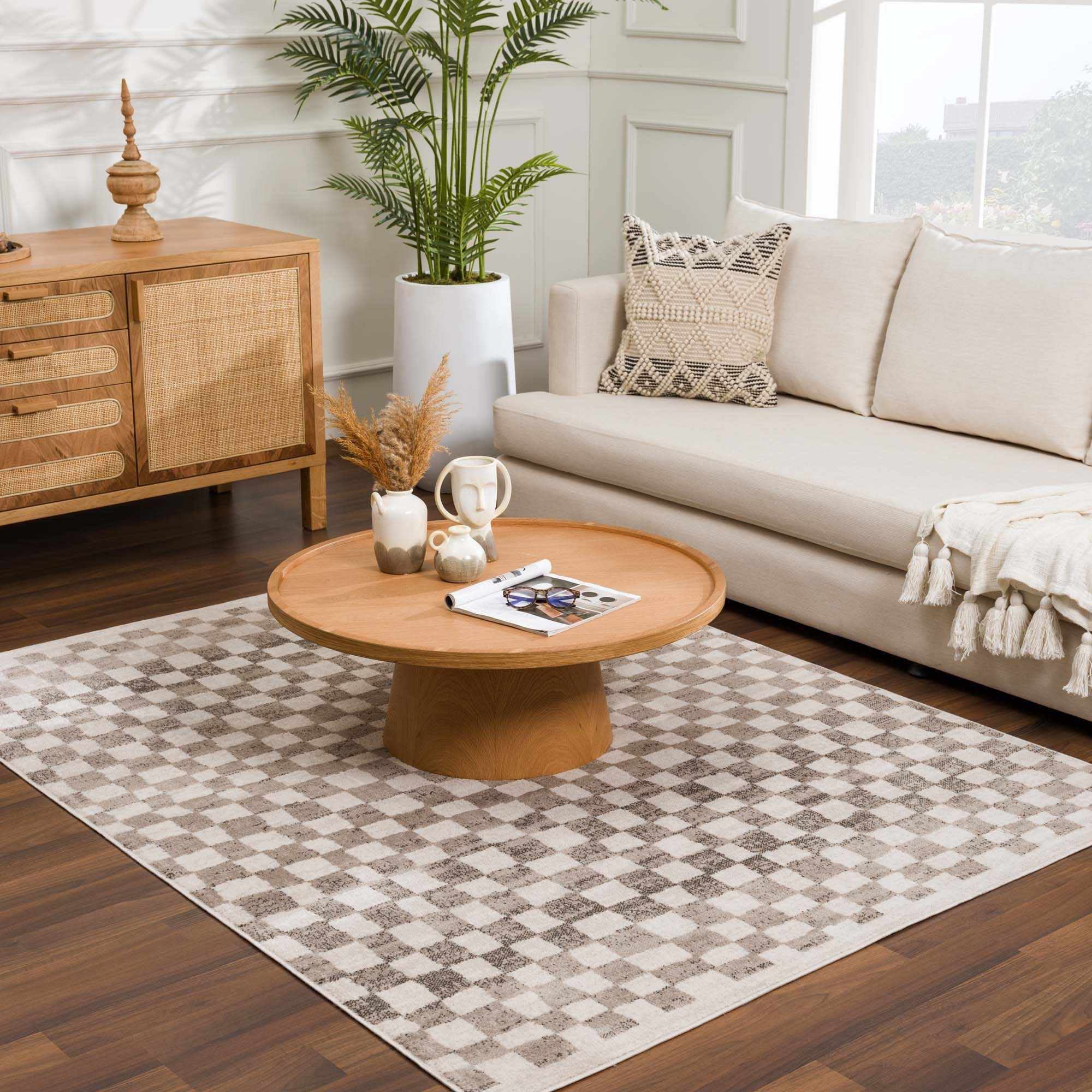 Hauteloom - Wholesale Area Rug - Benjy Beige Checkered Area Rug14