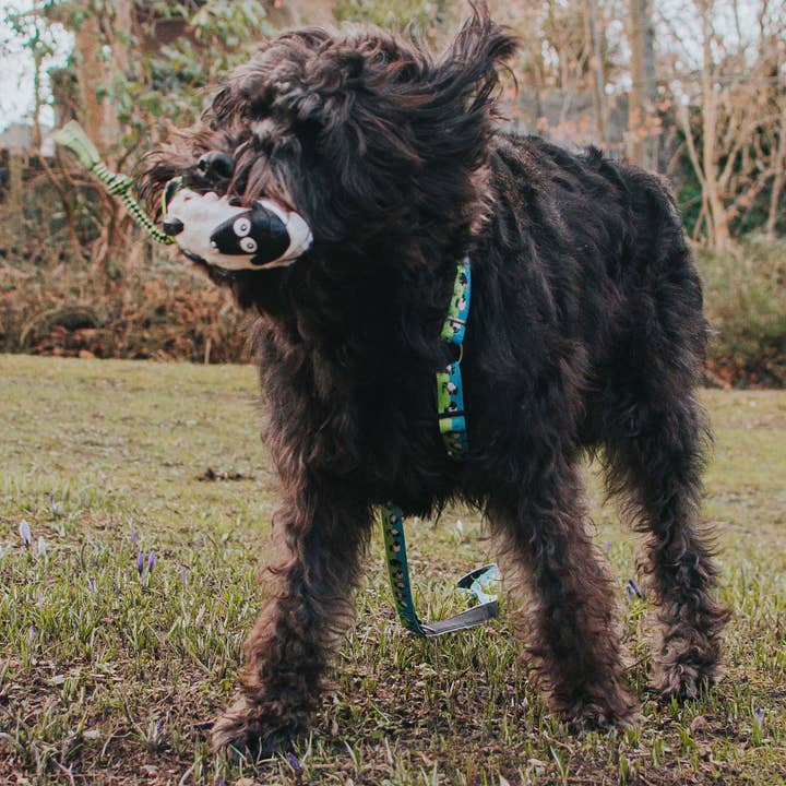 Max & Molly – wholesale Pet squeaky toy – Dog – Max & Molly Dog Toy Snuggles - Woody the Sheep2