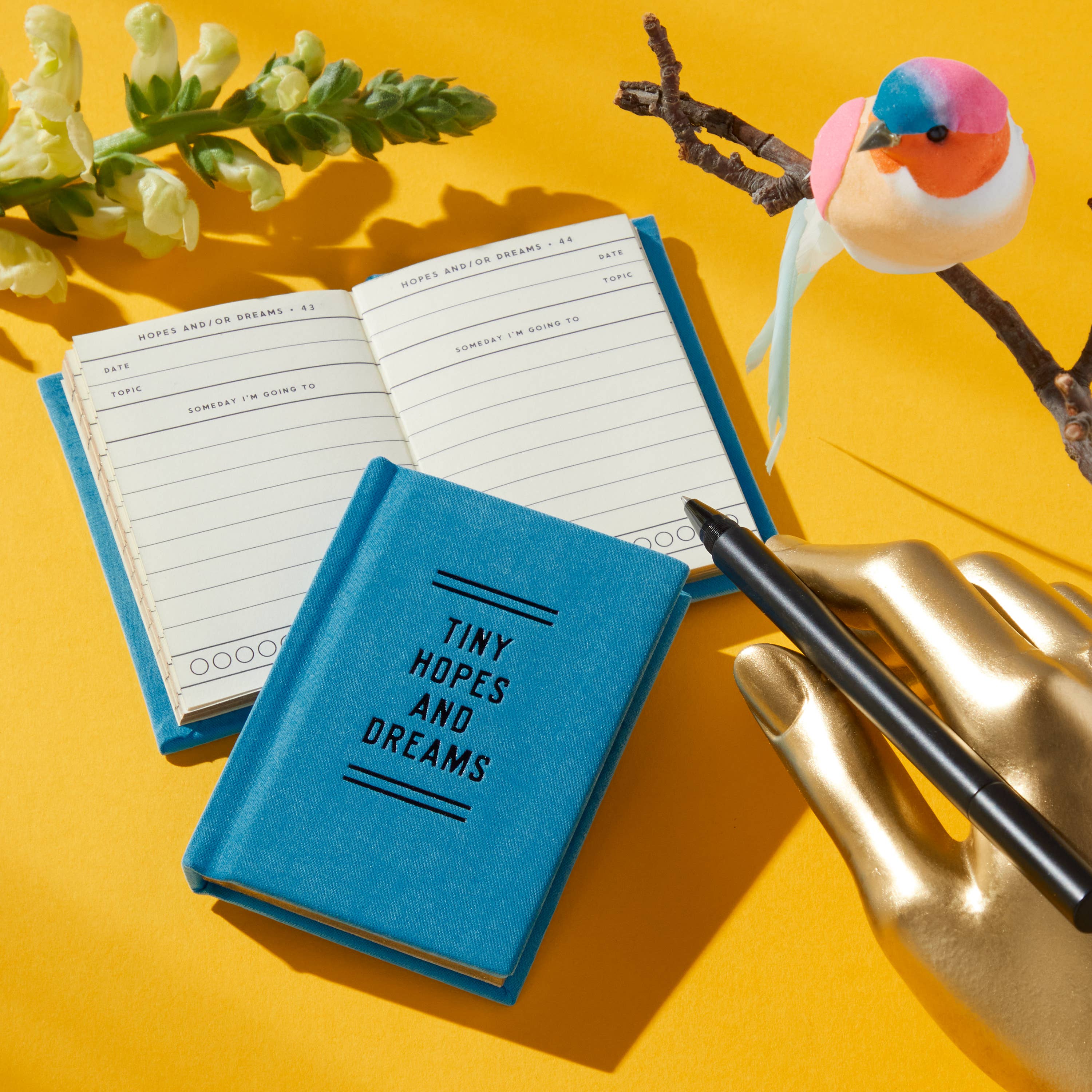 Chronicle Books - Wholesale Journal/Diary - Brass Monkey Tiny Hopes And Dreams Tiny Diary5