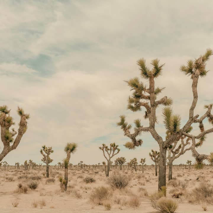 SOMEWHERE OUT THERE by JEN RUBIN for wholesale by HOTWATER GALLERY