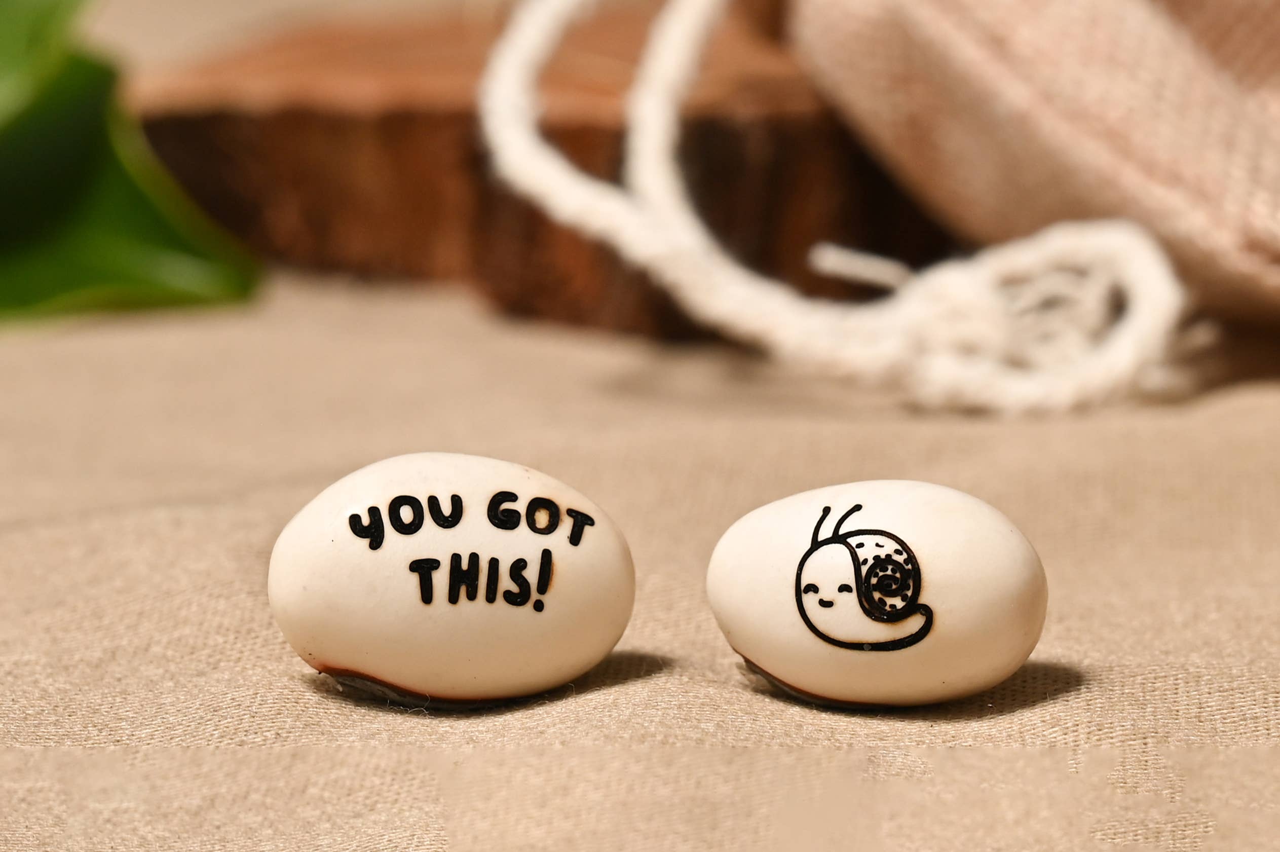 Live Love Bean - Wholesale Plant seeds - Magic Beans (Engraved Seeds) - Loose12