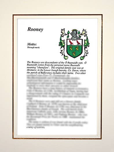 Rooney for engroshandel hos Family Histories