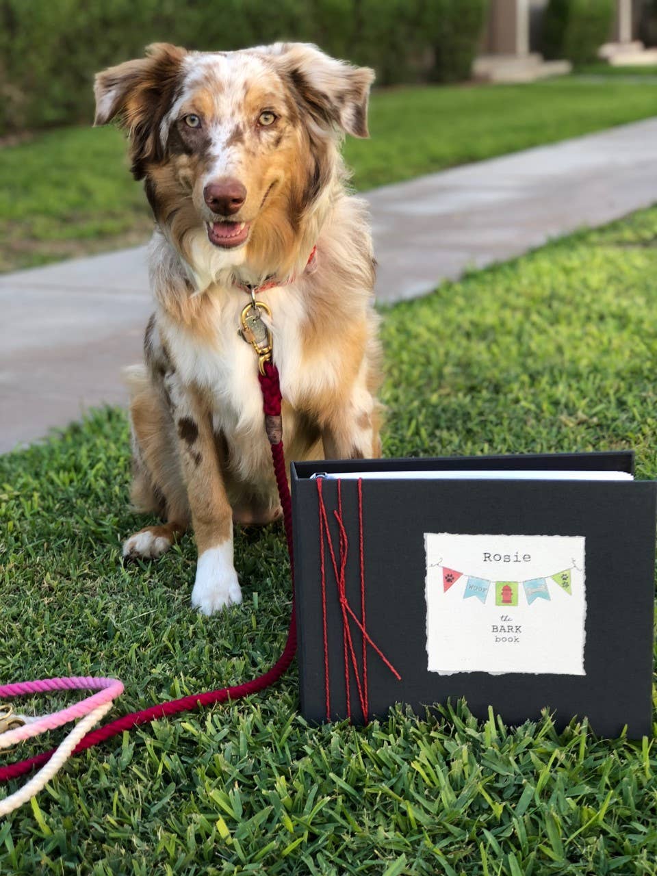 Hugs and Kisses XO - Wholesale Memory Book - Kids & Baby - Dog Puppy Wreath Memory Book8