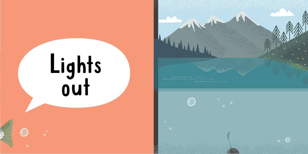 Gibbs Smith - Wholesale Baby & Toddler Book (0-2) - Grab Your Pillow, Armadillo: A Silly Book of Fun Goodnights7