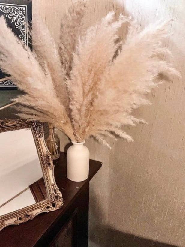 Sale pampas grass Bouquet of 5x Pampas 60cm / light cream pampas /beige pampas/ pampass grass arrangement / pampas bouquet for wholesale by DemiVi Style