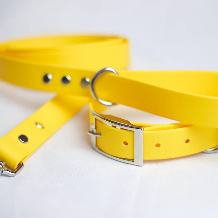 Sunflower Dog Leash | Waterproof | Yellow for wholesale by Wet Nosed Pup