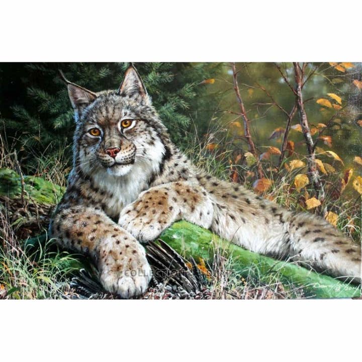 Diamond Painting Kit Lynx DE7146 for wholesale by RTO&Collection D'Art (RTO Baltic OU)
