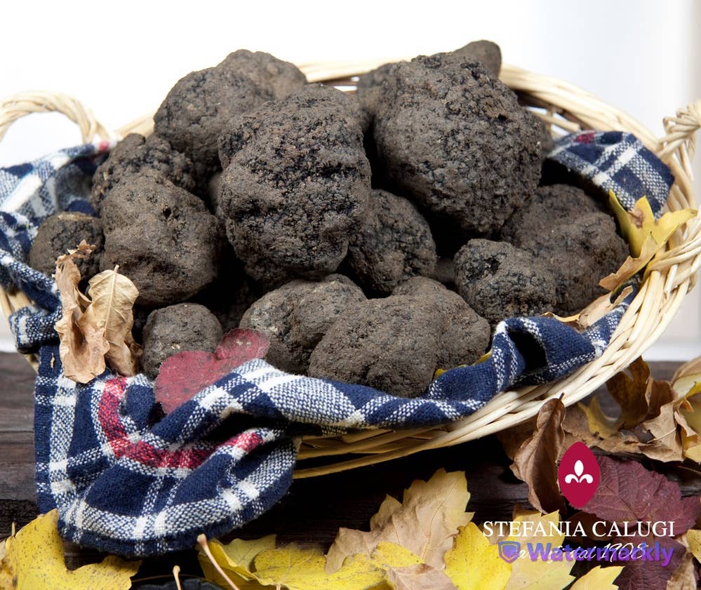 Stefania Calugi Tartufi - Wholesale Sauce - Truffle Cream | vegan | BBQ | gluten free2