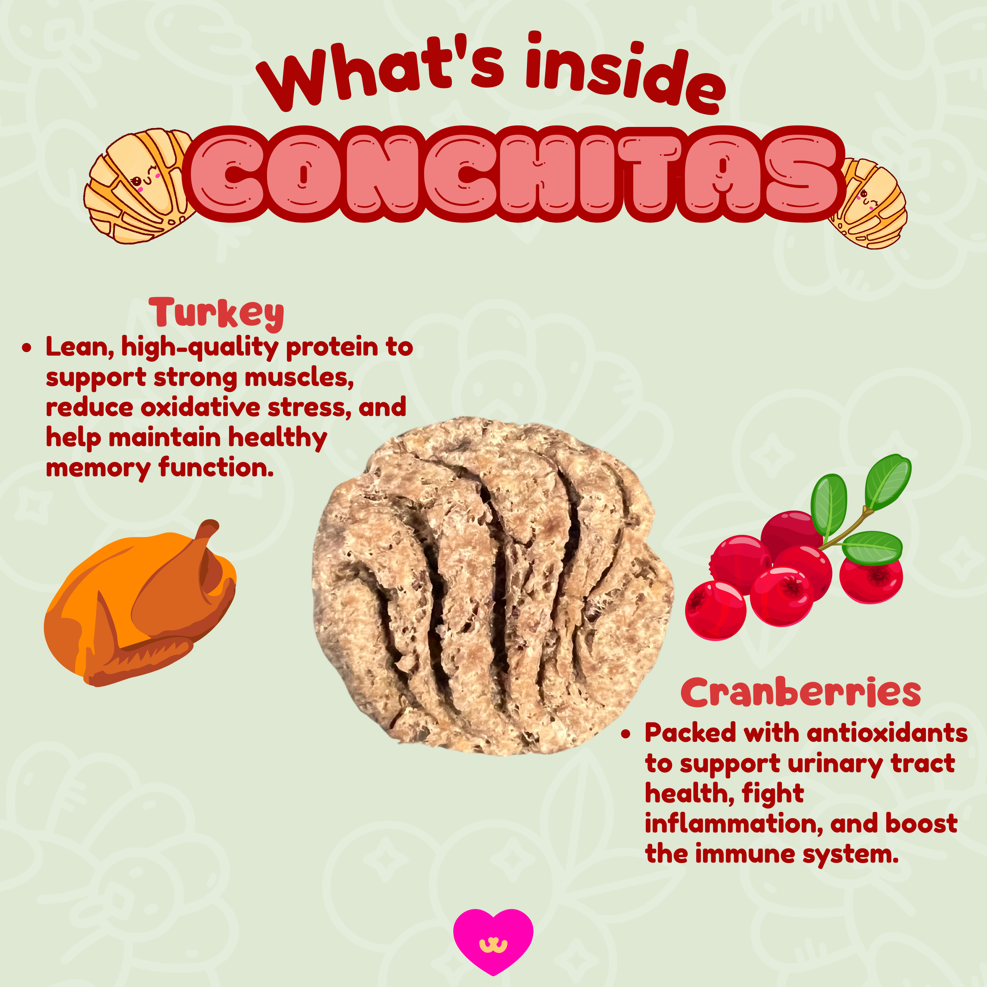 Owa Owa - Wholesale Pet Treats - Dog - Conchitas1