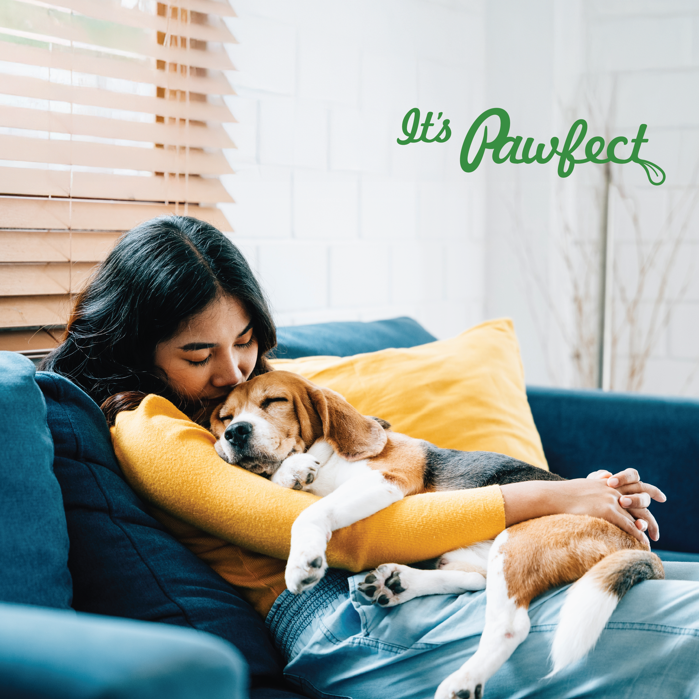 Pawfect Foods - Vendita all'ingrosso Snack - Cani - Pawfect Yogurt Melties Pre e Probiotici per Cani con Mirtillo, Mirtillo Rosso, Spirulina Blu e Menta | Intestino Sano | Basse Calorie | Senza Cereali e Glutine | Ricompensa o Snack per l'Addestramento (38g/1.34oz)7