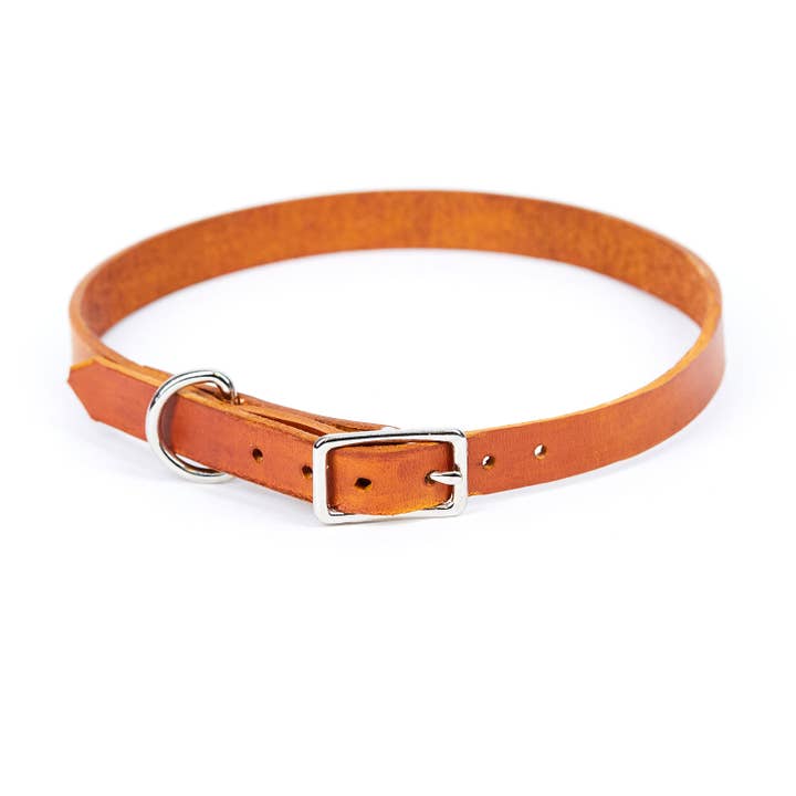 Odell Design Studio – wholesale Pet collar – Dog – Medium Leather Dog Collar - Available in More Colors