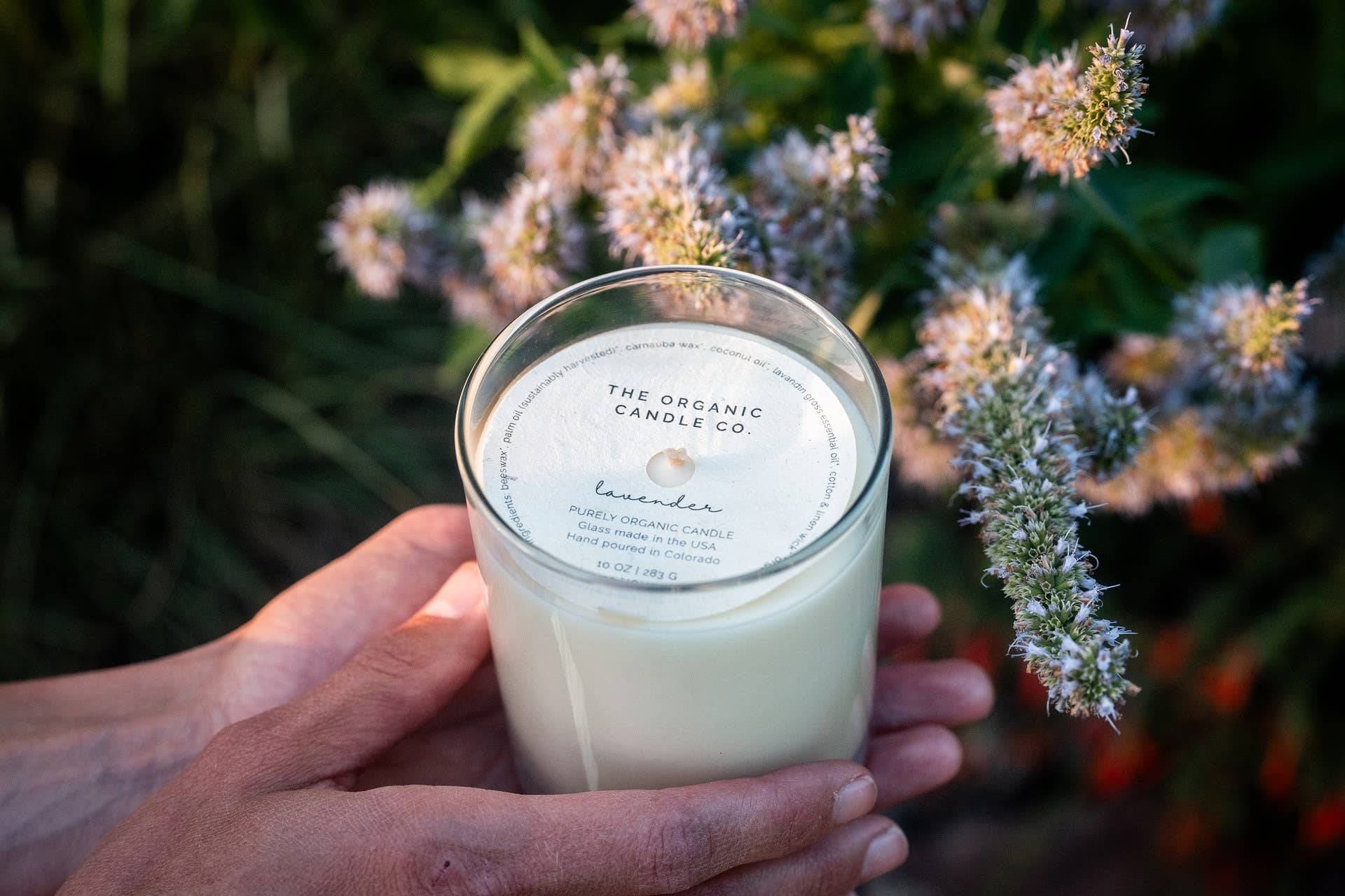 Merrely - Wholesale Jar/Filled Candle - Classic Organic Candle – 10oz – Box of 41