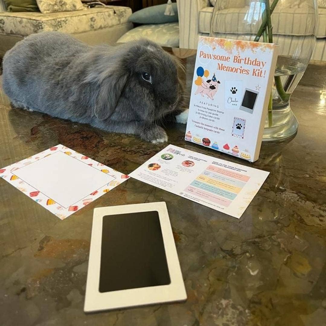 Paw Prints – wholesale DIY craft kit – Pet Paw Print Kits: Cats, Dogs, Puppy, Guinea Pig, Rabbit10