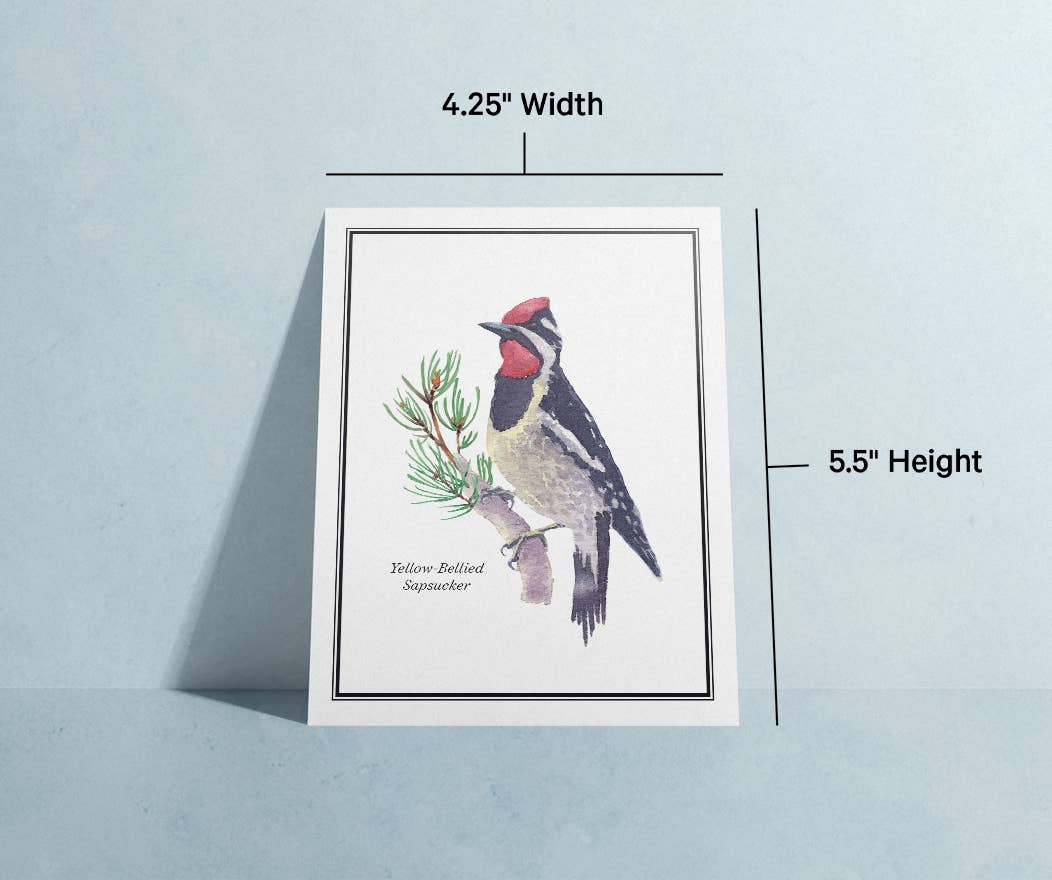 Twigs Paper - Wholesale Stationery/Notecard Set - Birds Greeting Card Set | Assorted Notecards6