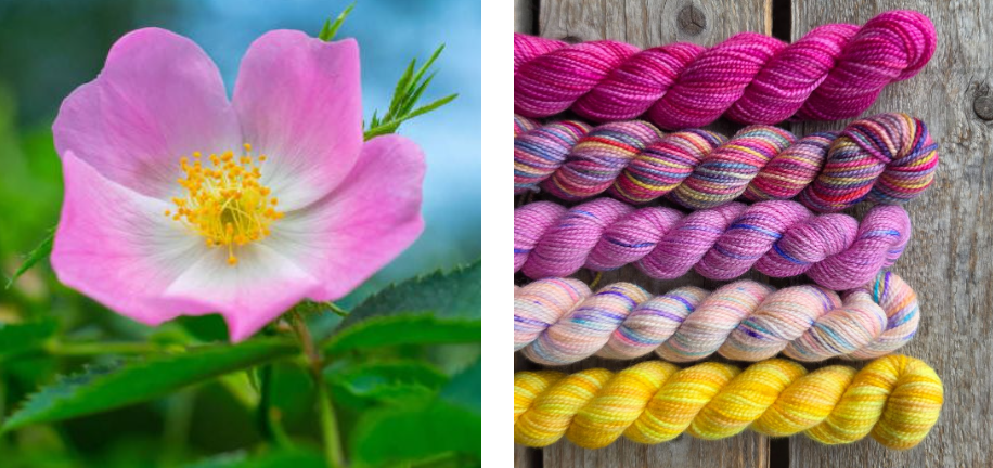 Koigu Wool Designs - Vente Fils à tricoter - Boîtes de Peinture de Fleurs Provinciales (ensembles de mini-écheveaux)29