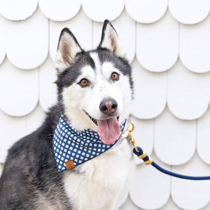 The Foggy Dog - Wholesale Pet Leash - Dog - Ocean Marine Rope Dog Leash