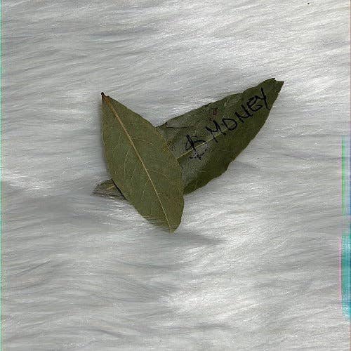 WHOLIFECO - Wholesale Meditation Supplies - Dozen of Bay leaves for manifestation - Prosperity & Abundance3