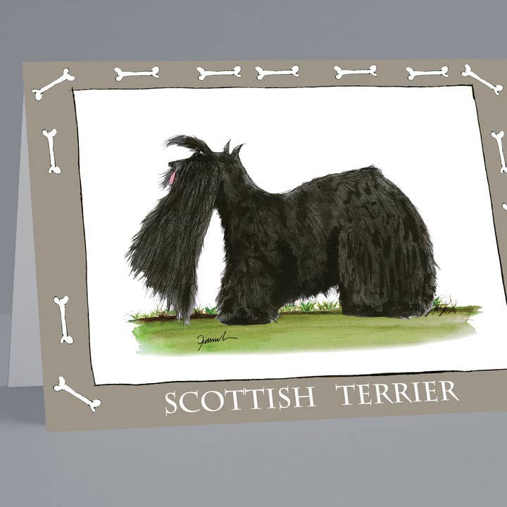 Scottish Terrier greeting cards (pack of 6) for wholesale by Tony Fernandes Design