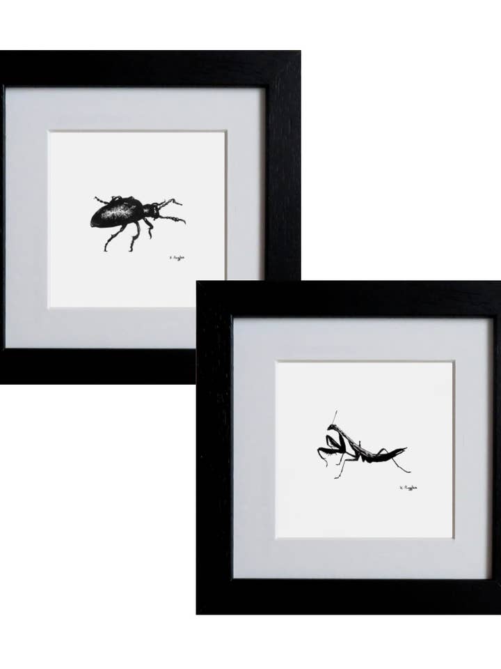 Praying Mantis and Oil Beetle Original Art, Framed for wholesale by Drawing In Dark