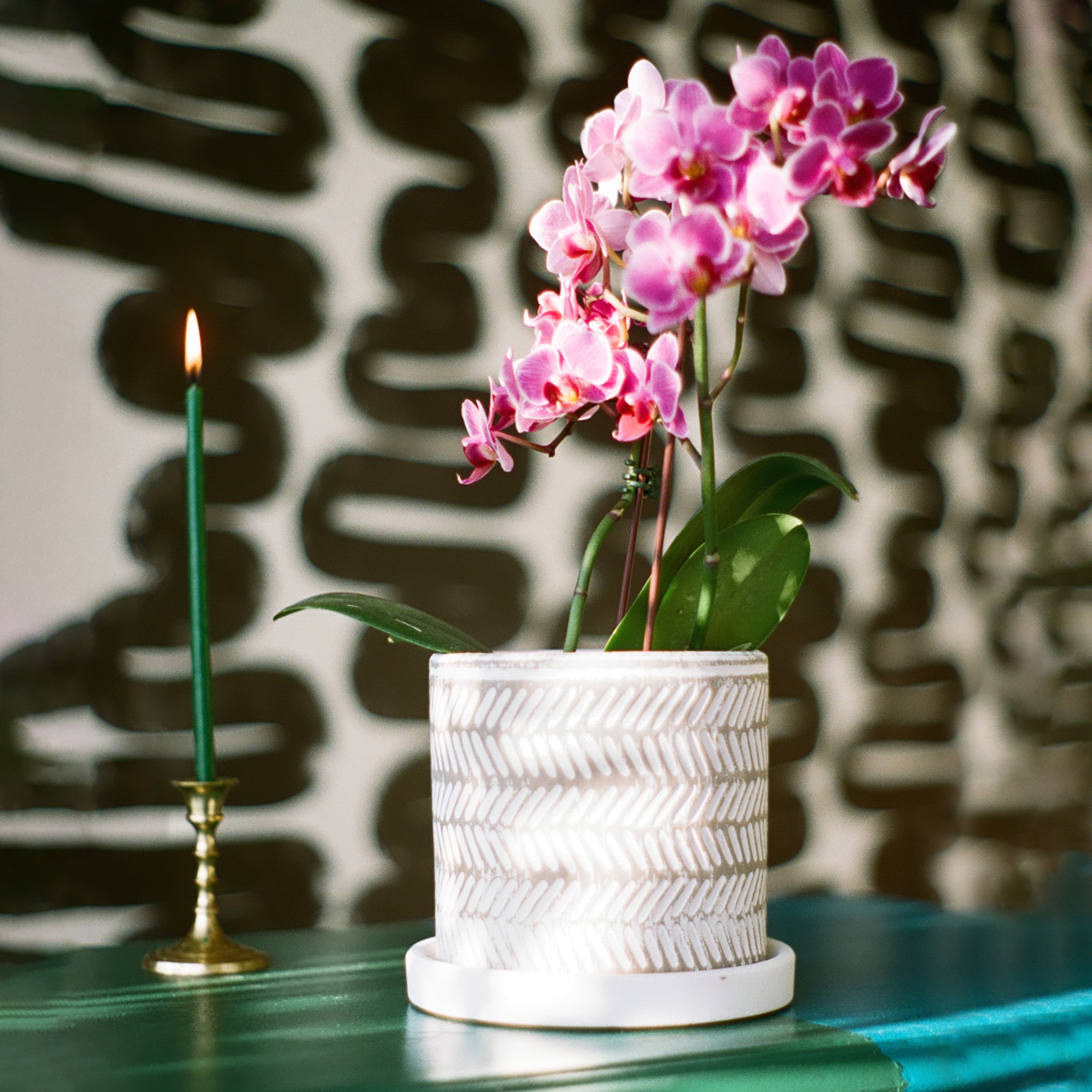 Chive - Wholesale Plant Pot - Balter Succulent Containers Cactus Pot And Saucer34