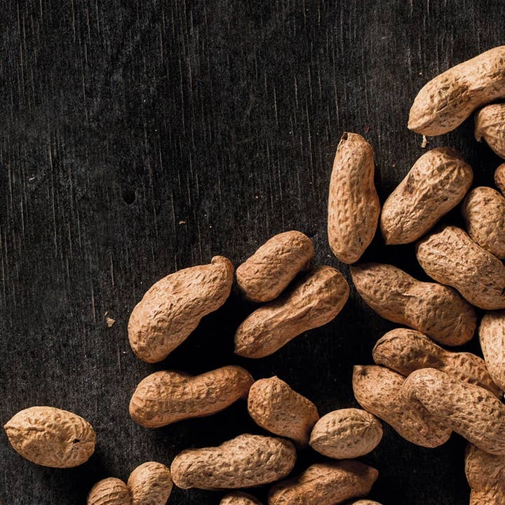 Resetea - Wholesale Plant Seeds - Peanut Self-Growing Kit🥜3