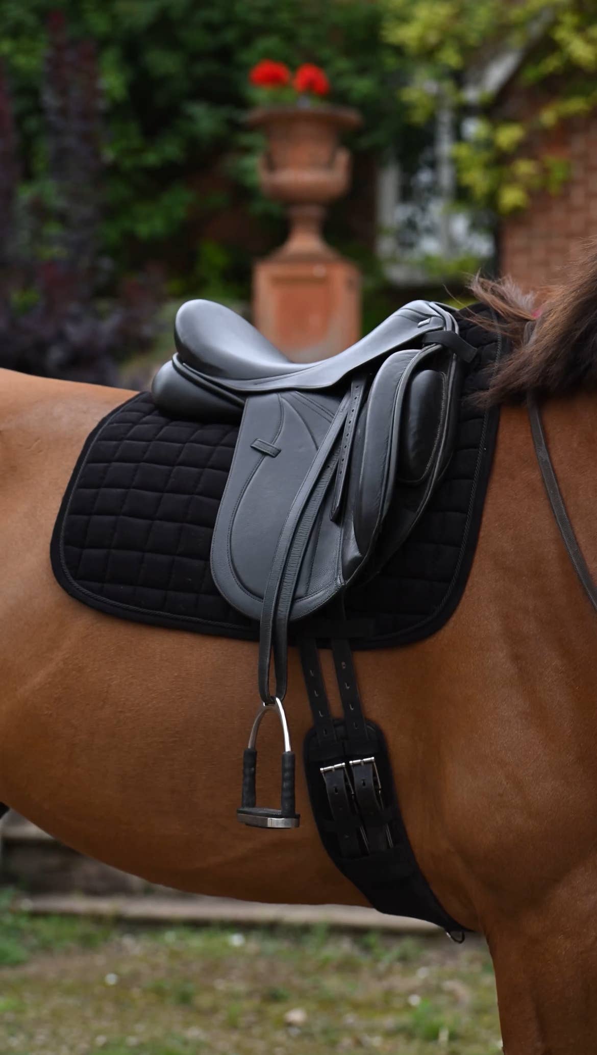 The Urbany Equine - Wholesale Horseback Riding Gear - Black Corduroy Dressage Saddle Pad1