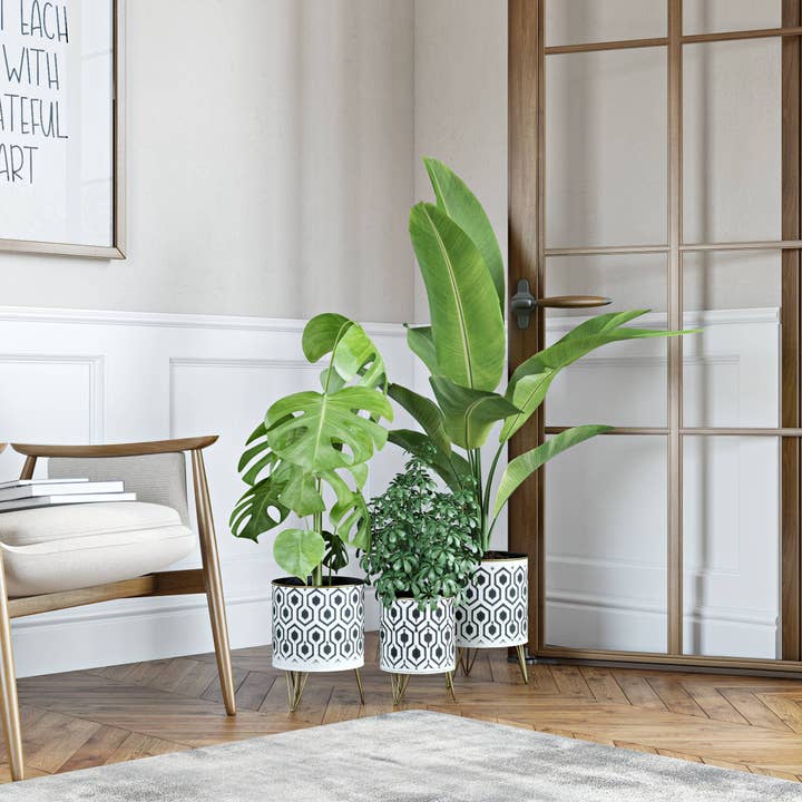 Aspire Home Accents - Wholesale Plant Pot - Andrey Mid-Century Planters (Set of 3)