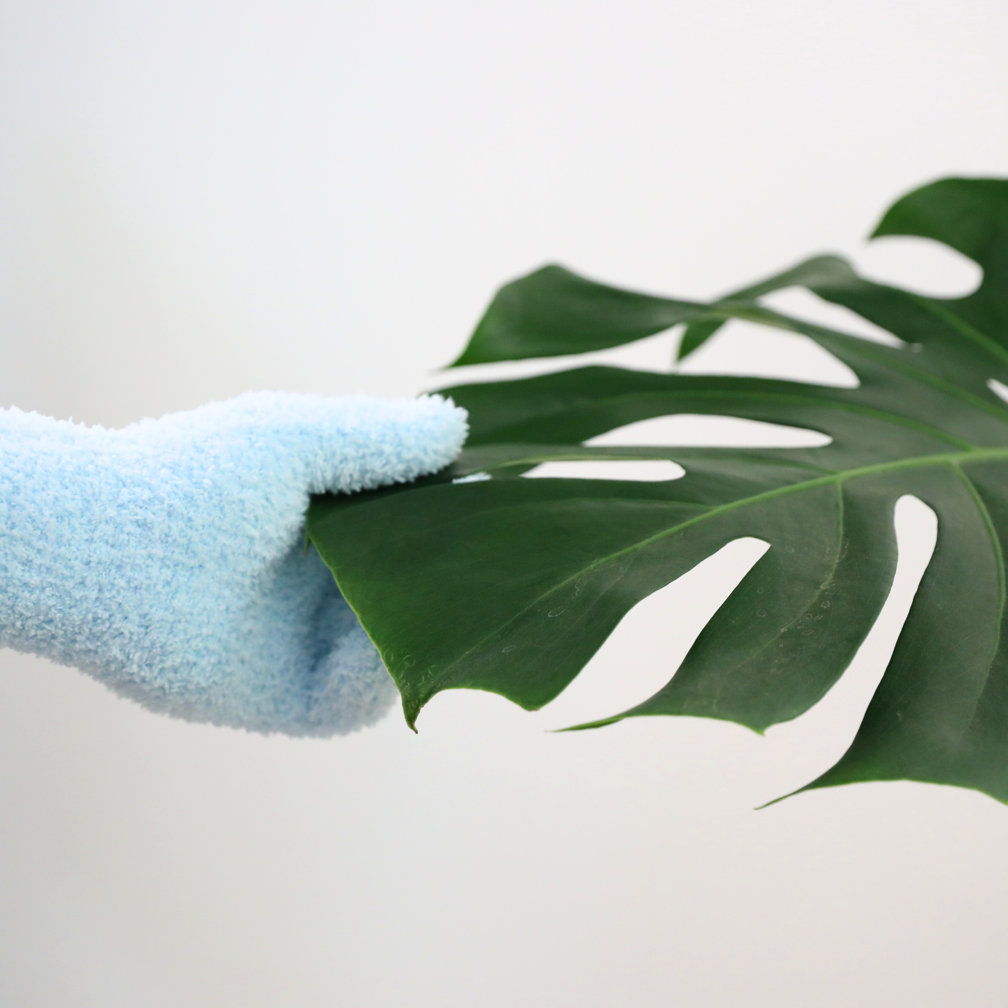 Mossify - Wholesale Garden Gloves - 2 Microfiber Gloves – Reusable Leaf-Shining Gloves for Plant8