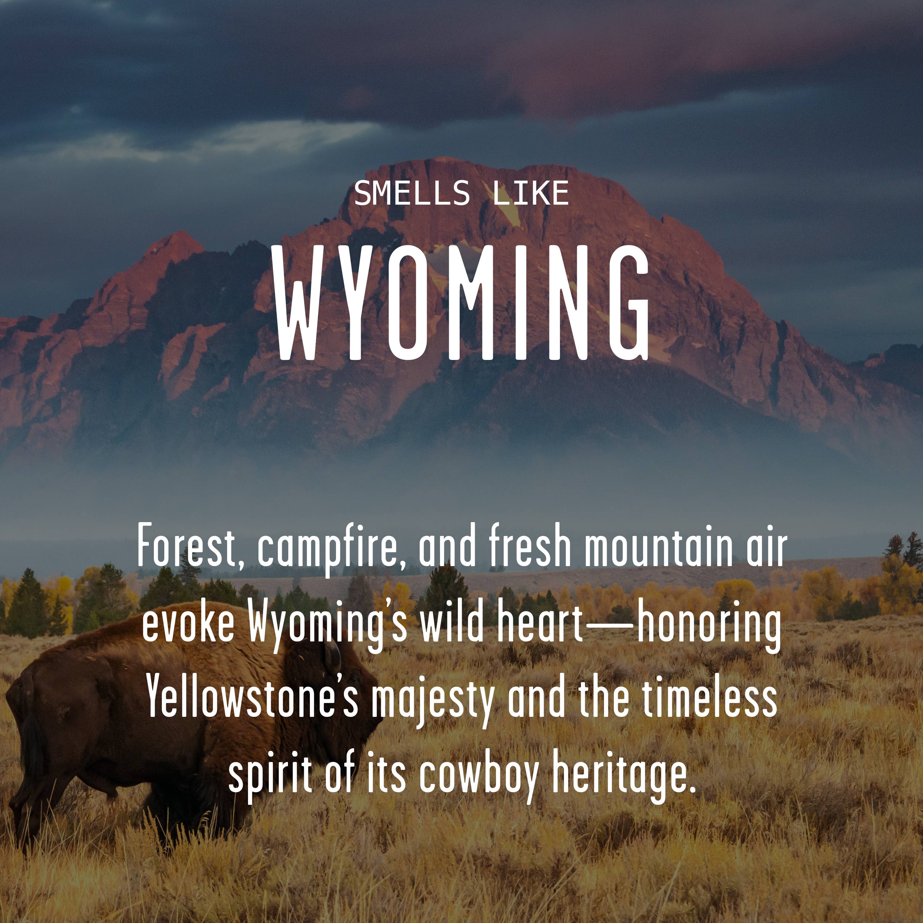 Soy and Sass – wholesale Burkljus – ”Det finns ingen plats som Wyoming” sojavaxljus - statlig gåva1