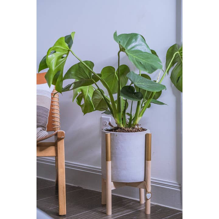 Hold on to Your Plants – wholesale Plant pot stand – Modern Plant Stand 7"2