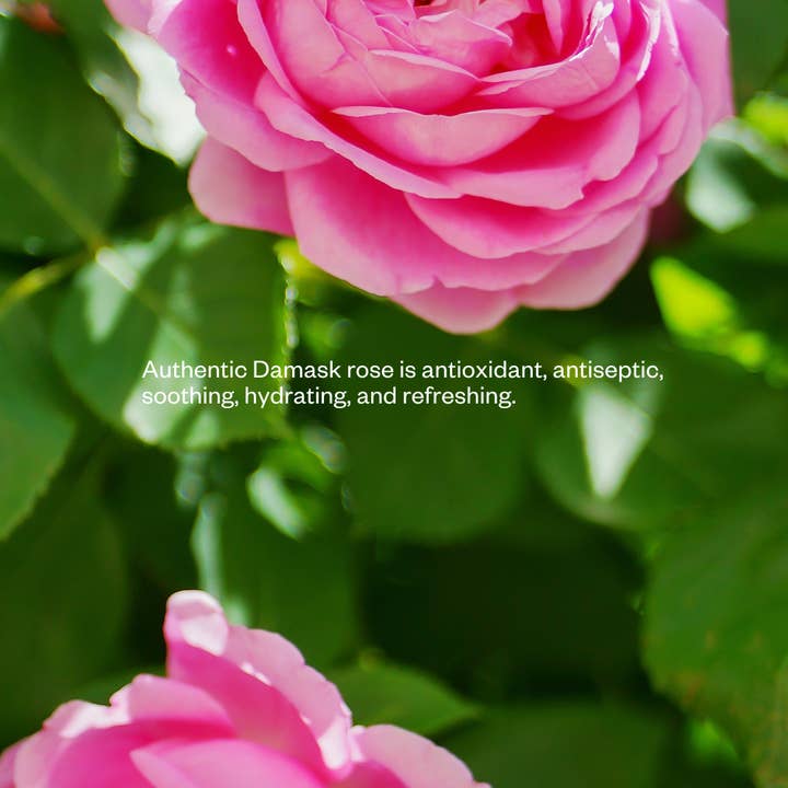 Flow Cosmetics – wholesale Ansiktstoner – ROSENBLOMSVATTEN Cosmos Organic Certifierad