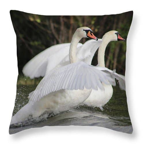 CUSCINO "THE SWANS RACE" per la vendita all'ingrosso da parte di sorayadapuzzostore