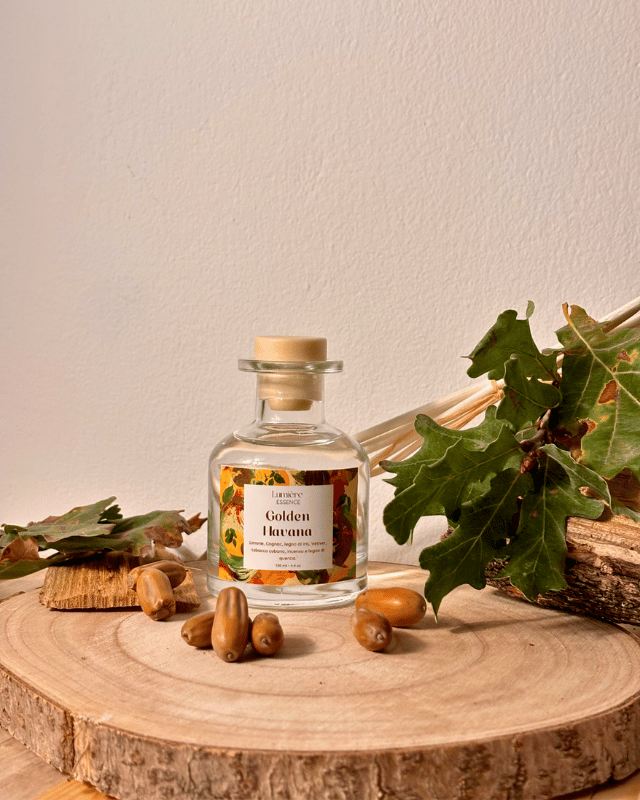 Kit Little Garden - Wholesale Reed Diffuser - Starter Pack | Diffusers 130ml8