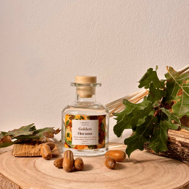 Kit Little Garden - Wholesale Reed Diffuser - Starter Pack | Diffusers 130ml8