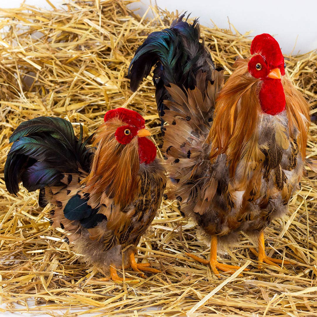 Zucker Feather Products - Wholesale Feathers - Rooster Farmhouse Decor8