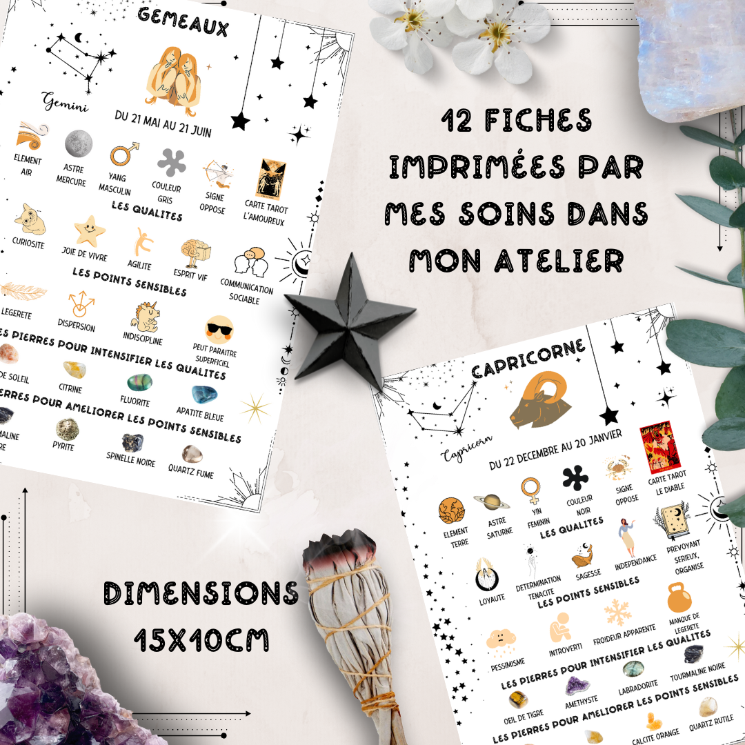 Les Moonettes - Wholesale Stationery/Notecard Set - 12 astro and lithotherapy cards The Moonettes + pouch2