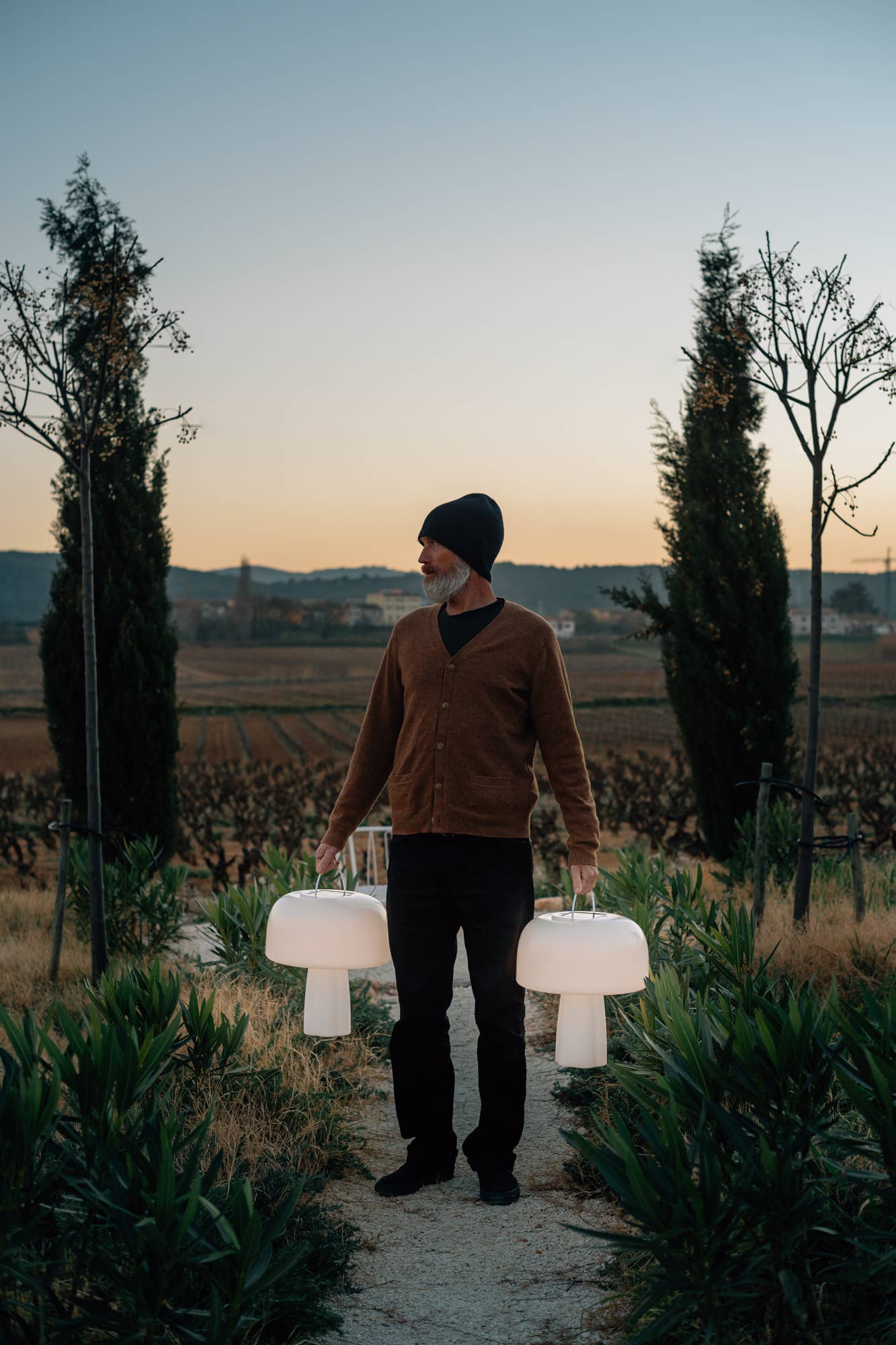 Goodnight Light - Wholesale Accent/Desk Lamp - The Boleti Lamp - Solar powered, portable lamp12