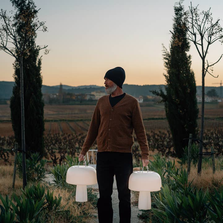 Goodnight Light - Wholesale Accent/Desk Lamp - The Boleti Lamp - Solar powered, portable lamp12