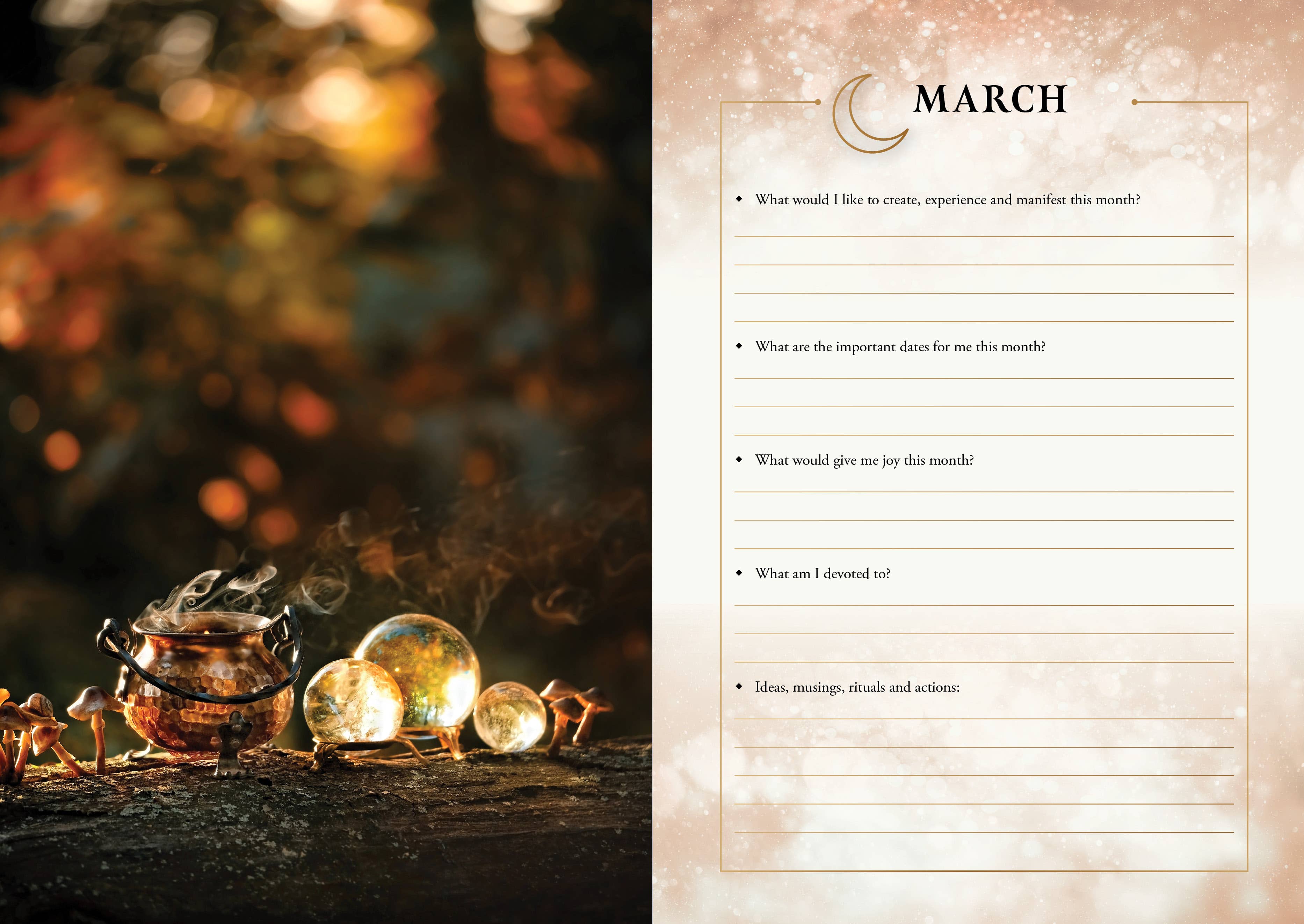 ROCKPOOL PUBLISHING - Wholesale Journal/diary - 2026 Lunar and Seasonal Diary: Southern Hemisphere5