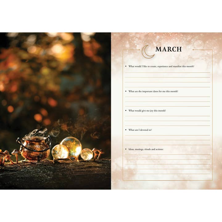 ROCKPOOL PUBLISHING - Wholesale Journal/diary - 2026 Lunar and Seasonal Diary: Southern Hemisphere5