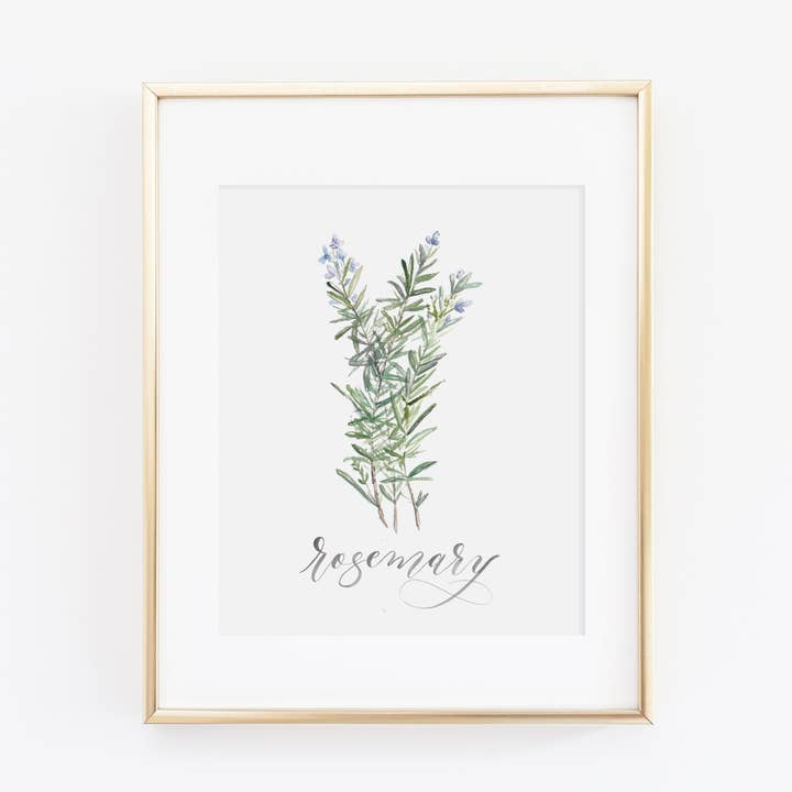 Impression d'art de romarin pour la vente par Cami Monet