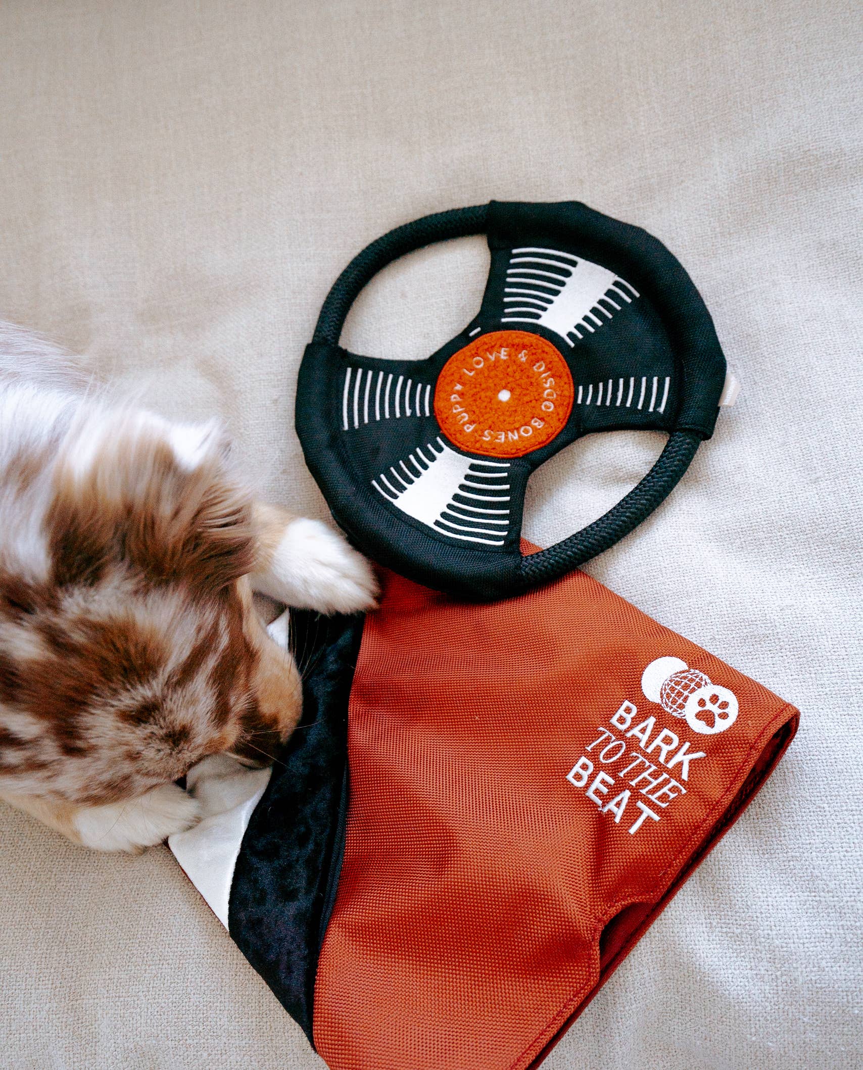 Lambwolf Collective - Wholesale Pet Toy - Dog - BARK TO BEAT //ENRICHMENT DOG TOY 3