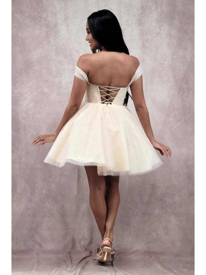 Chicas - Wholesale Dress - Women's - Short Off The Shoulder Tulle Dress With Brooch21