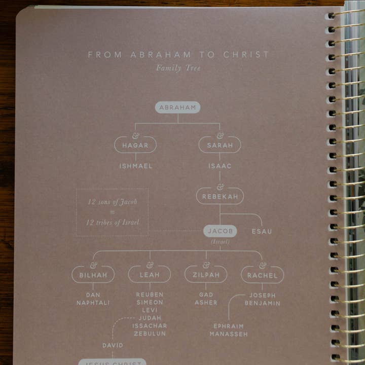 The Daily Grace Co - Wholesale Book - Adult - Christ in All of Scripture | Volume 1
