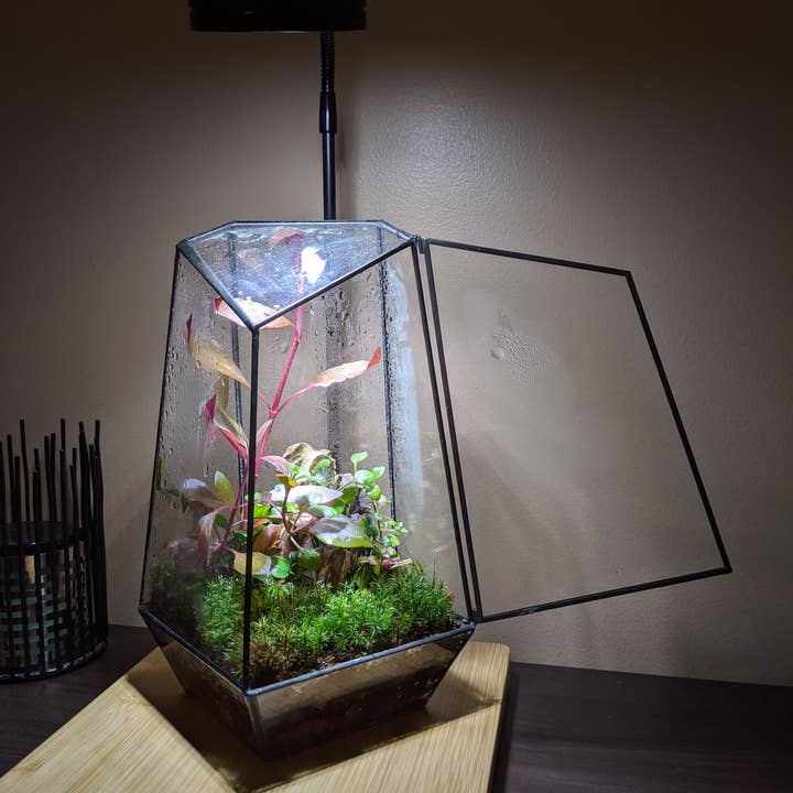 HIRO AQUATICS – Engroshandel Plantekrukke – Indendørs Plante Geometrisk Glas Fartøj Container