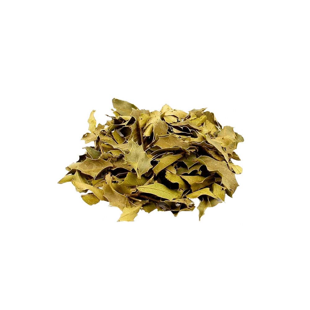 Natubrazil - Wholesale Loose Tea - Espinheira Santa in Plant - 50g