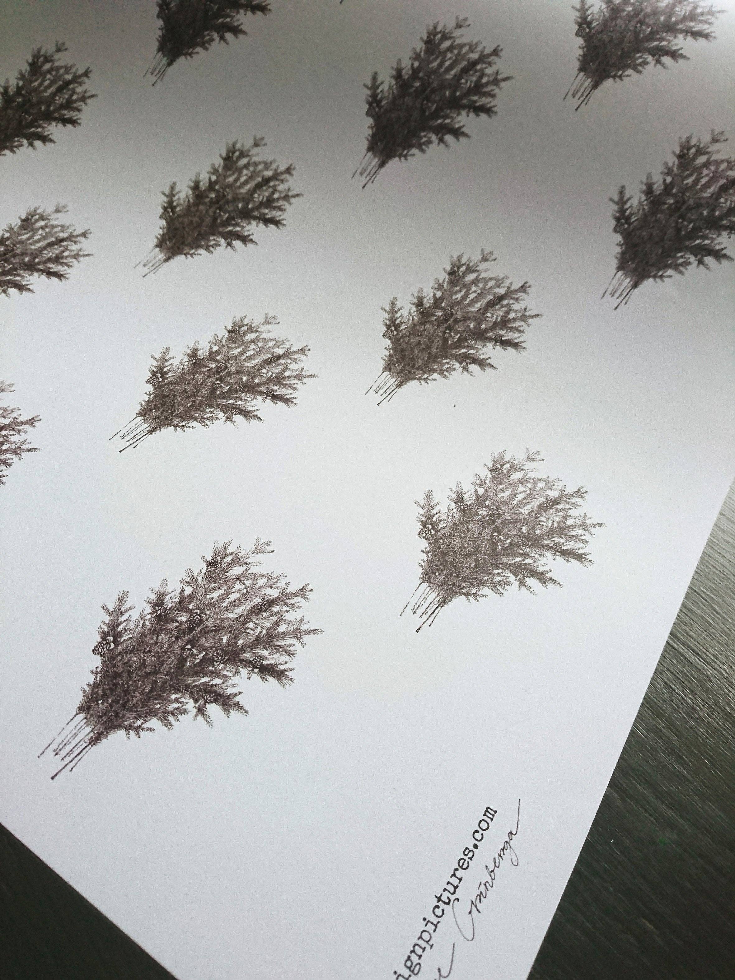 MyDesignPictures - Wholesale Flat Wrap - Set Of 3 Pieces Spruce Branches White Wrapping Paper2
