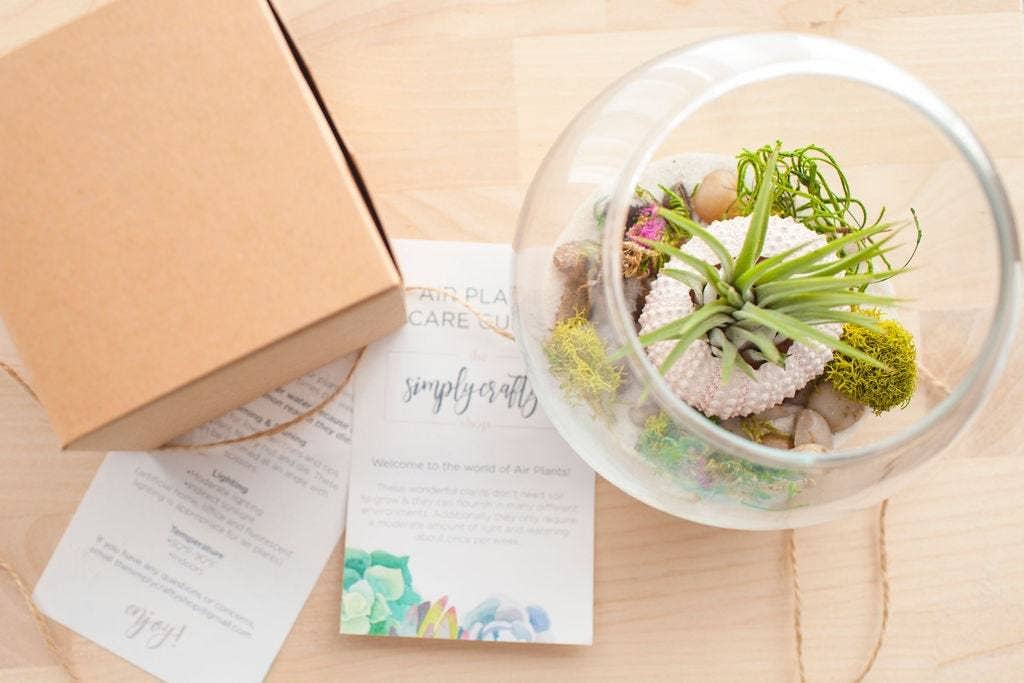 The Simply Crafty Shop - Wholesale Terrarium - Coastal Air Plant Terrarium Kit2