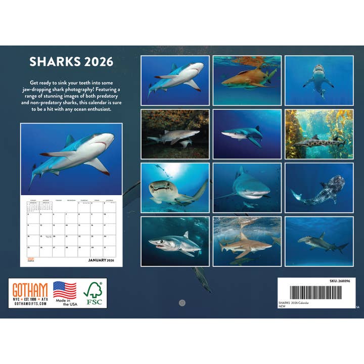 Multi-cor Calendário de Tubarões 2026 Calendário de Parede Mensal 12 Meses | Fabricado nos EUA para venda a revendedores na Faire1