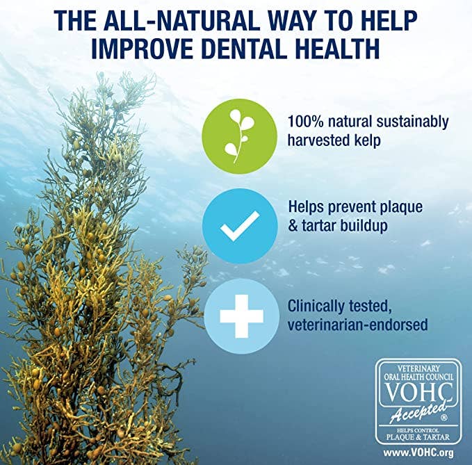 Pet Palette Distribution - Wholesale Pet Supplement - Dog - PlaqueOff Powder 60 Gram Bottle3